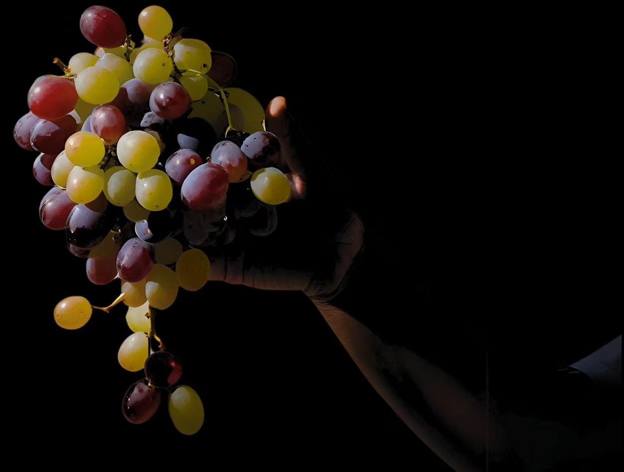 Racimo de uvas